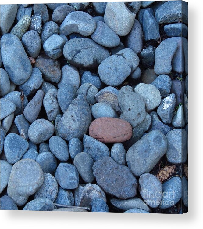 River Stones Acrylic Print featuring the photograph Blue Stones and One Red by Anita Adams