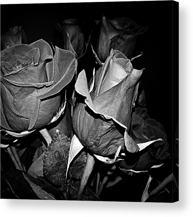 Rose Acrylic Print featuring the photograph Boquet Of Roses by Ester McGuire