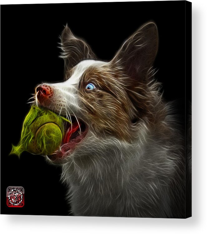 Border Collie Acrylic Print featuring the painting Border Collie - Elska - 9847 - BB by James Ahn