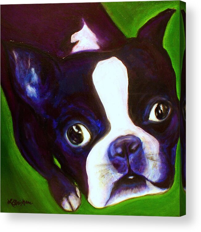 Dogs Acrylic Print featuring the painting Boston Terrier - Elwood by Laura Grisham