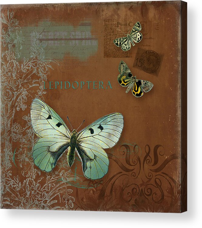 Wildflower Etchings Acrylic Print featuring the painting Botanica Vintage Butterflies n Moths Collage 4 by Audrey Jeanne Roberts