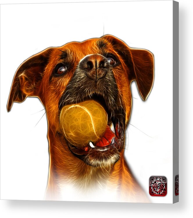 Dog Acrylic Print featuring the digital art Boxer Mix Dog Art - 8173 - WB by James Ahn