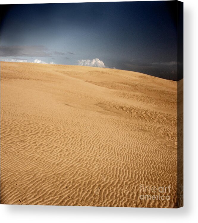 Dunes Acrylic Print featuring the photograph Brave New World by Dana DiPasquale