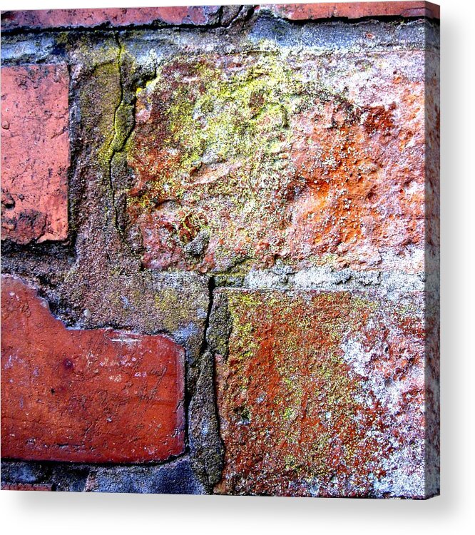 Bricks Acrylic Print featuring the photograph Brick Wall by Roberto Alamino