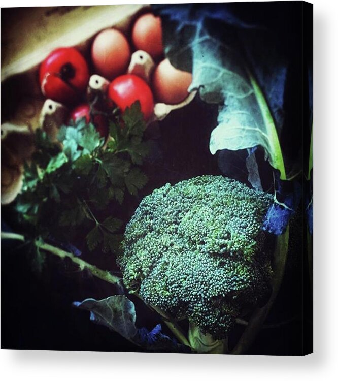 Broccoli Acrylic Print featuring the photograph Broccoli, My by Sophia Kam
