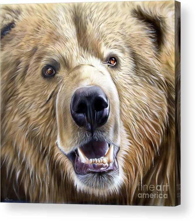 Bear Acrylic Print featuring the painting Brown Bear by Sandi Baker