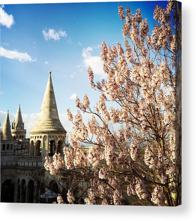 Budapest Acrylic Print featuring the photograph Budapest Fishermans Bastion by Matthias Hauser