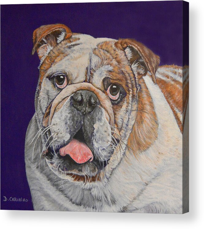 Dog Acrylic Print featuring the painting Buddy by Daniel Carvalho