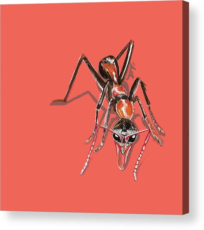 Bugs Acrylic Print featuring the painting Bull Ant by Jude Labuszewski