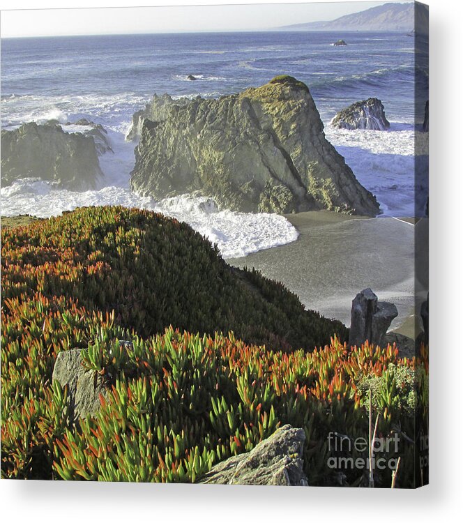 Ocean Acrylic Print featuring the photograph By the Sea by Joyce Creswell