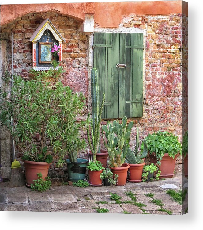 Florence Acrylic Print featuring the photograph Cactus in Florence by Dave Mills
