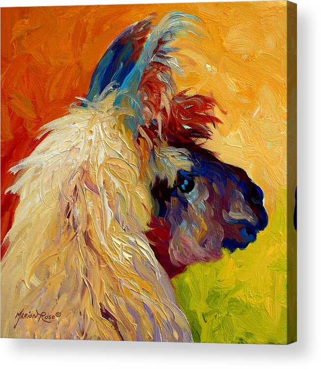 Llama Acrylic Print featuring the painting Calico Llama by Marion Rose