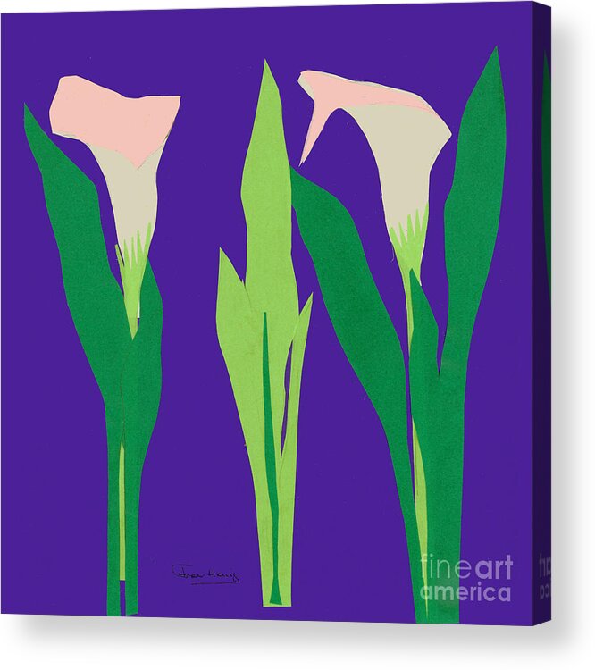 Calla Lily Acrylic Print featuring the mixed media Calla Lilies by Fran Henig