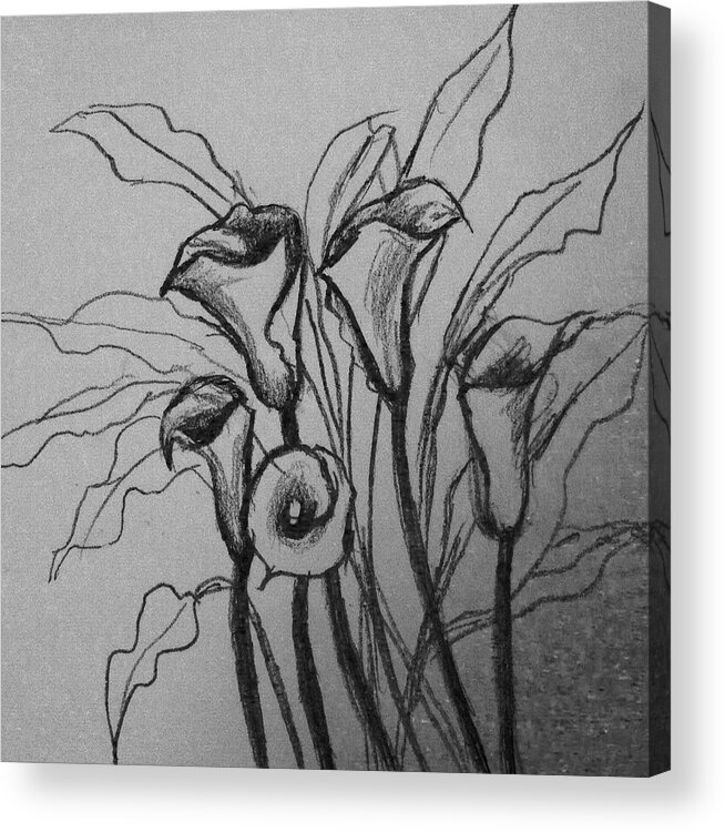Calla Lily Acrylic Print featuring the drawing Calla lily by Hae Kim