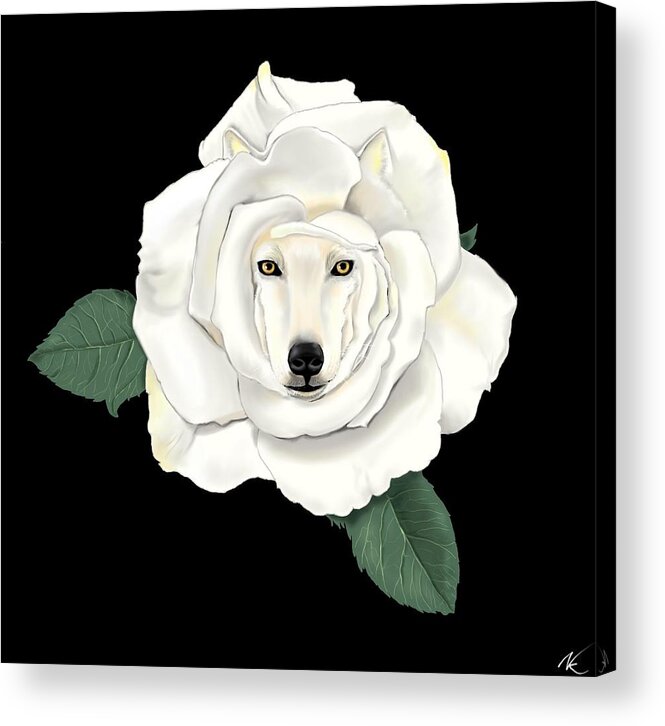 Wolf Acrylic Print featuring the digital art Canis Rosa by Norman Klein
