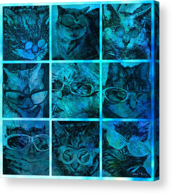 Cat Acrylic Print featuring the digital art Cattitudes by Barbara Berney