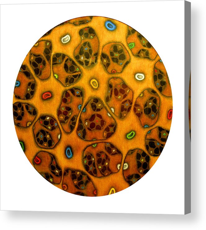 Cells Acrylic Print featuring the drawing Cell Network by Nancy Mueller