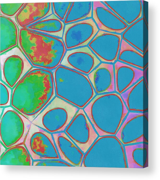 Painting Acrylic Print featuring the photograph Cells Abstract Three by Edward Fielding