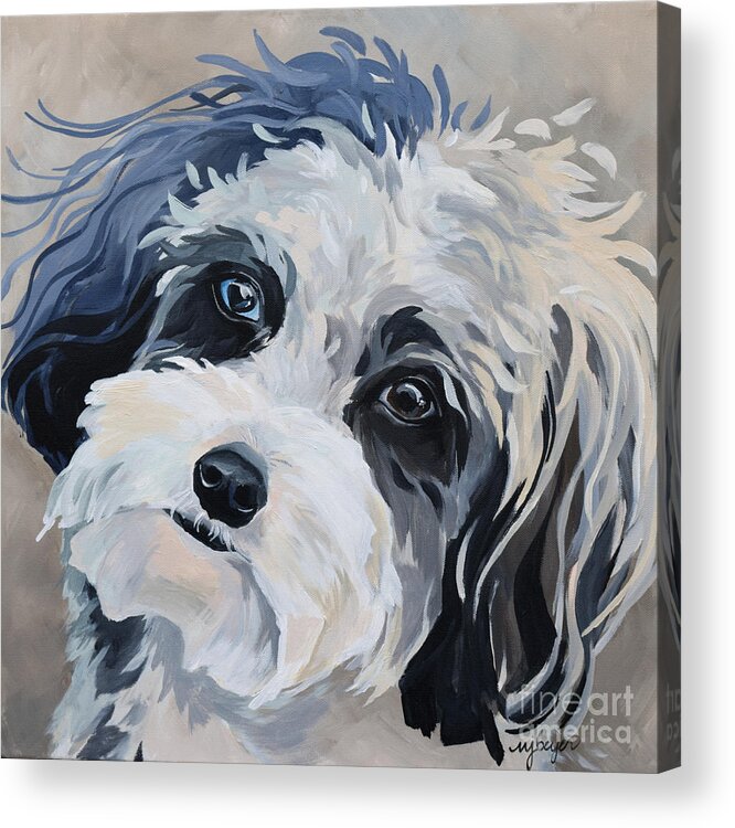 Dog Acrylic Print featuring the painting Charlie by Marla Beyer