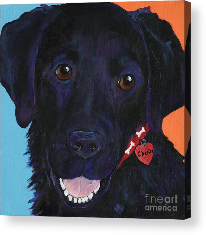 Dog Art Acrylic Print featuring the painting Charlie by Pat Saunders-White