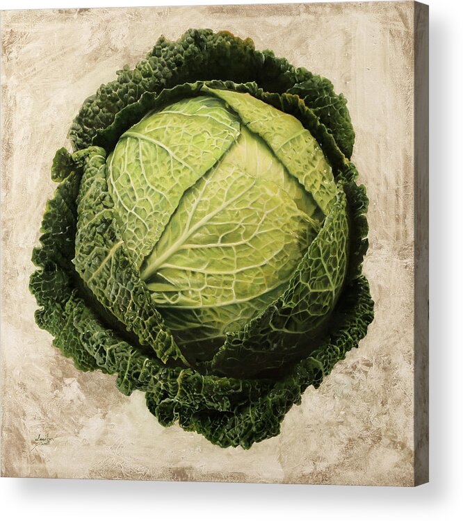 Cabbage Acrylic Print featuring the painting Checcavolo by Danka Weitzen