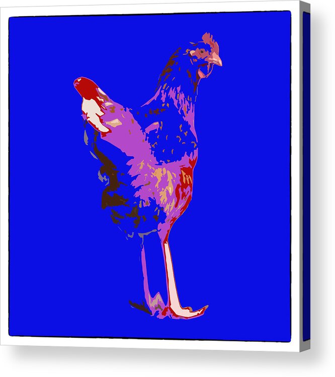 Chicken Acrylic Print featuring the photograph Chicken With Tall Legs by James Bethanis