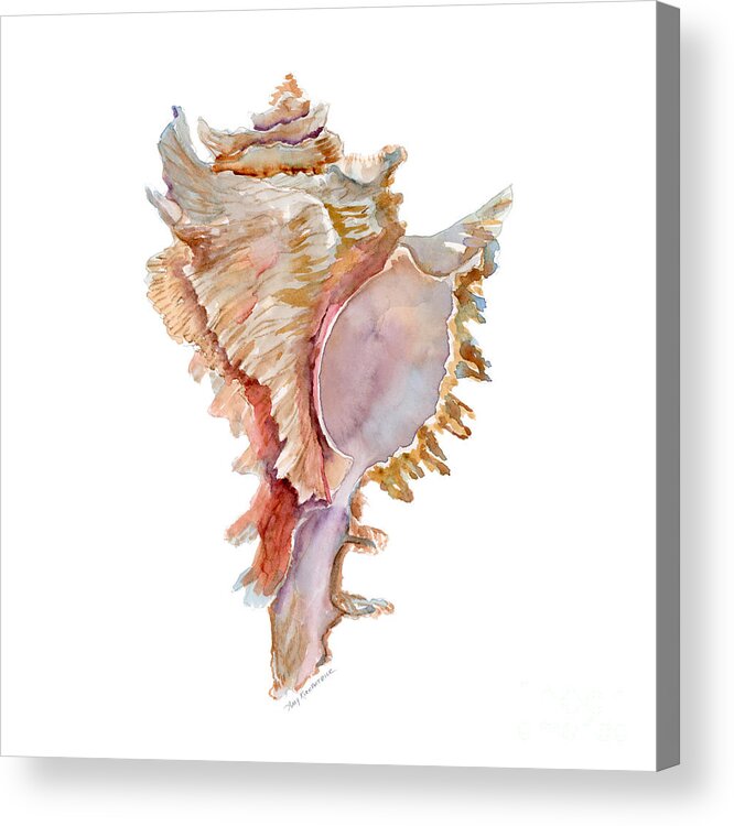 Shell Acrylic Print featuring the painting Chicoreus Ramosus Shell by Amy Kirkpatrick