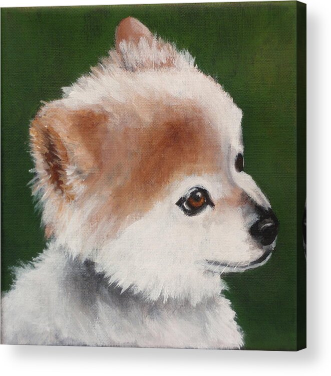 Puppy Acrylic Print featuring the painting Chip by Carol Russell