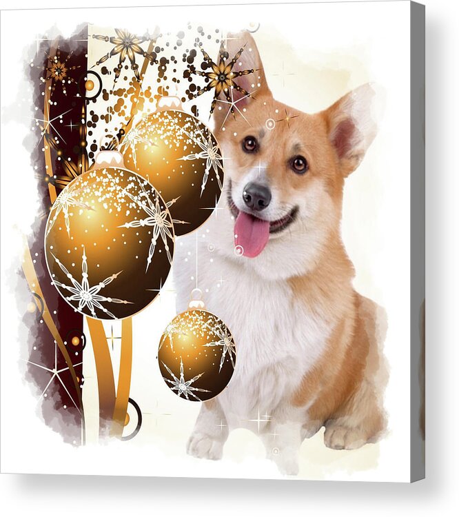 Holiday Acrylic Print featuring the digital art Christmas Corgi with Ornaments by Kathy Kelly