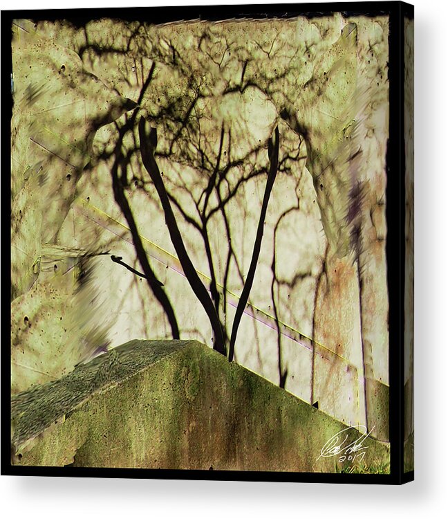 Abstract Concrete Wall Shadow Reflection Tree Rutgers Newark Hill Hall Acrylic Print featuring the photograph Concrete Jungle by Leon deVose