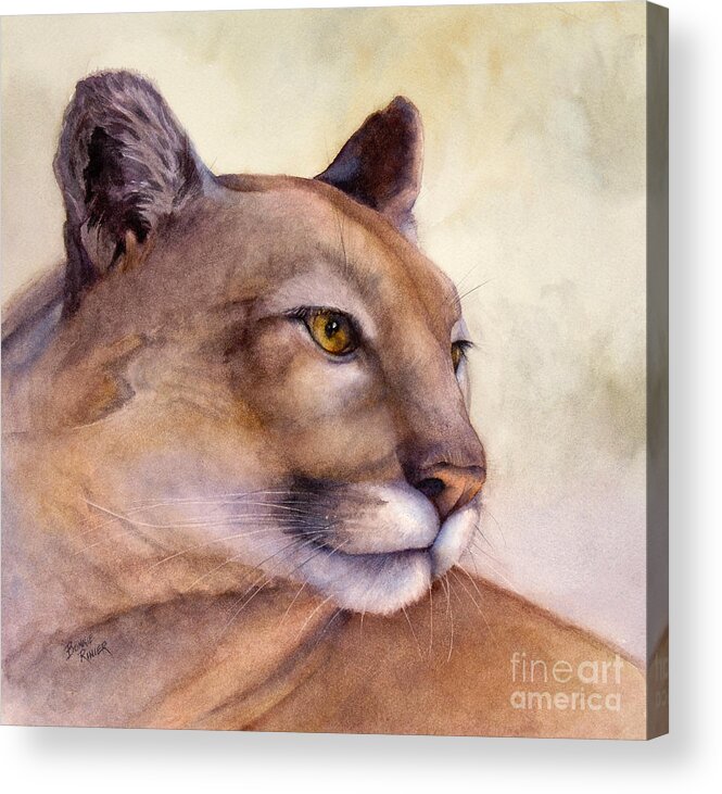 Cougar Acrylic Print featuring the painting Contemplation by Bonnie Rinier