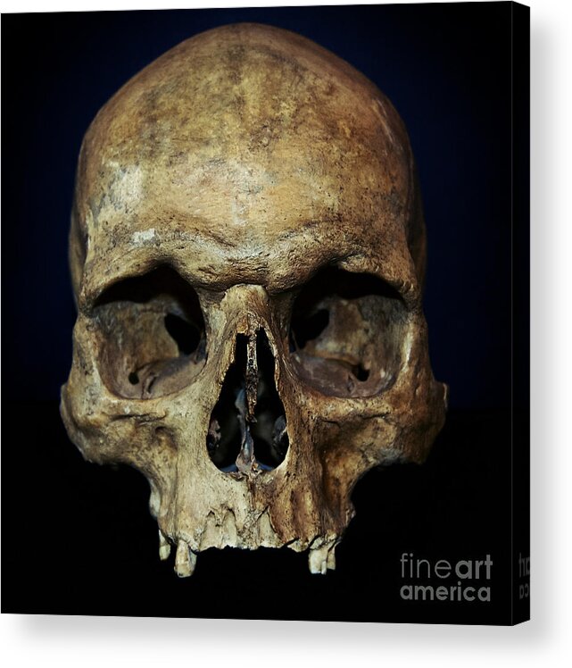 Halloween Acrylic Print featuring the photograph Creepy Skull by Iryna Liveoak