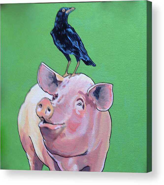 Animals - Pig And Crow Acrylic Print featuring the painting Cromwell the Crow by Sharon Cromwell