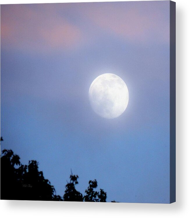 Spring Acrylic Print featuring the photograph Crystal Blue Persuasion by Wild Thing