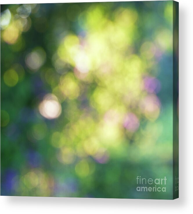 Bokeh Acrylic Print featuring the photograph Dance of Dappled Light by Tim Gainey