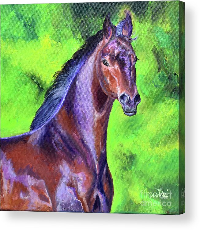 Dark Red Bay Horse Acrylic Print featuring the painting Dark Red Bay Horse by Anne Cameron Cutri