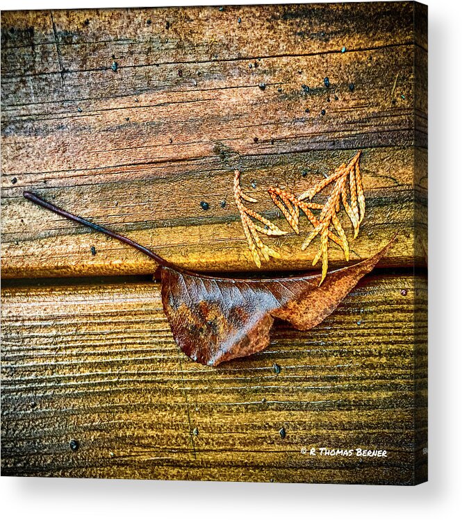 Deck Acrylic Print featuring the photograph Deck Art by R Thomas Berner