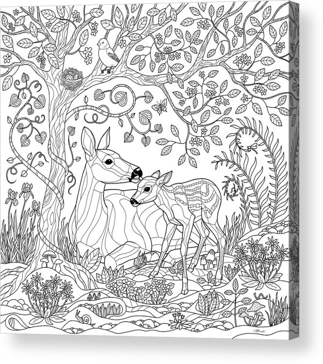 Color & Frame - In the Forest (Adult Coloring Book) (Spiral)