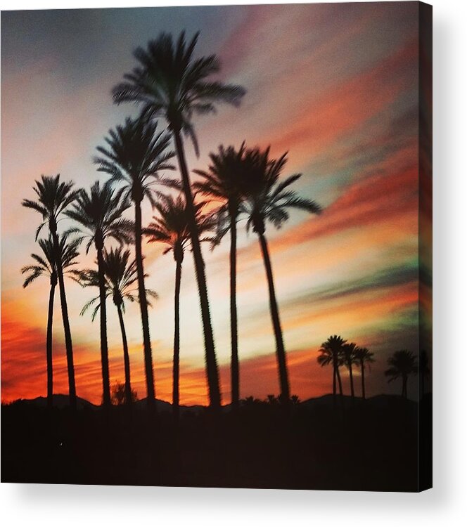 Palm Trees Acrylic Print featuring the photograph Desert Palms Sunset by Vic Ritchey