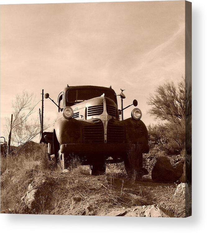 Rust Art Acrylic Print featuring the photograph Desert Rat Flatbed by Bill Tomsa