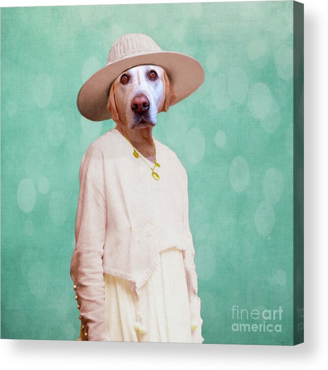 Dog Acrylic Print featuring the digital art Desperate Housewife by Martine Roch