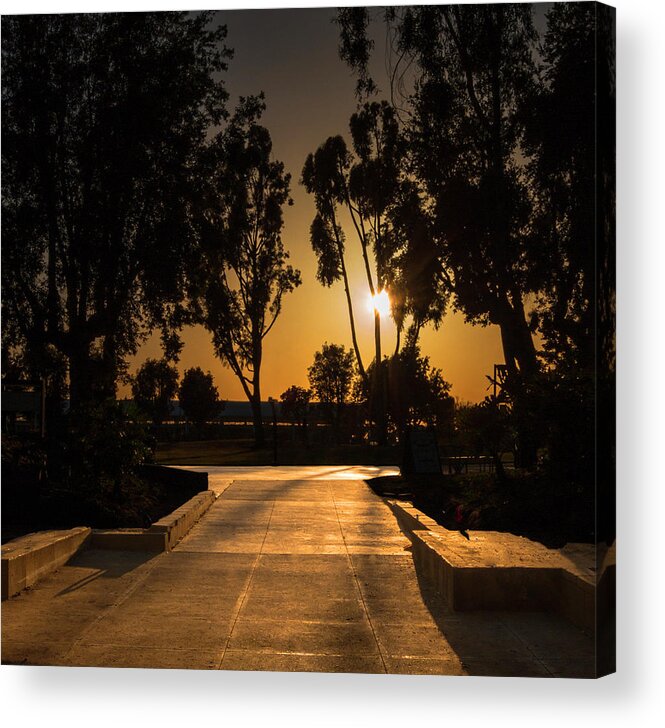 California Acrylic Print featuring the photograph Dominguez Hills Sunset by Ed Clark