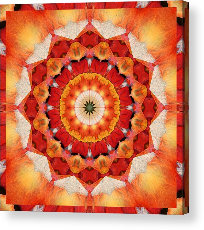 Mandalas Acrylic Print featuring the photograph Dreaming by Bell And Todd