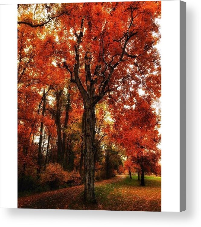 Relaxing Acrylic Print featuring the photograph Dreamy Autumn

#autumn #hudsonvalley by Blake Butler