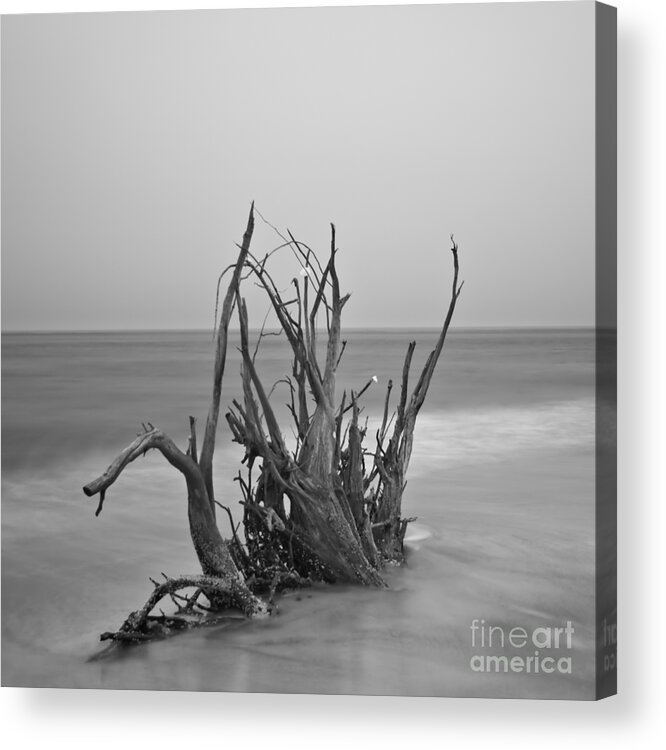 Driftwood Acrylic Print featuring the photograph Driftwood Infrared 60 by Rolf Bertram