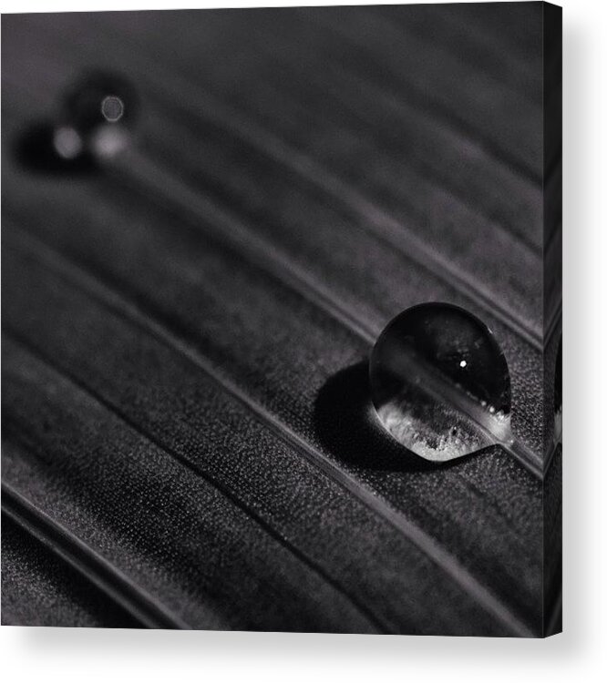 Rcspics Acrylic Print featuring the photograph Droplets by Dave Edens