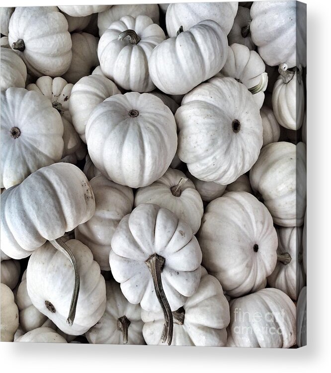 Pumpkins Acrylic Print featuring the photograph Elegant Pumpkins by Onedayoneimage Photography
