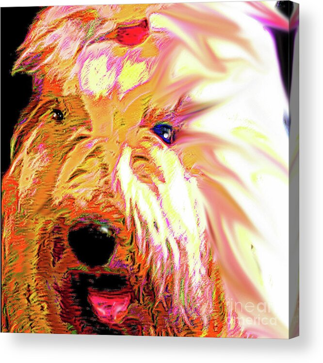 Old English Sheepdog Acrylic Print featuring the mixed media Ellie by Alene Sirott-Cope