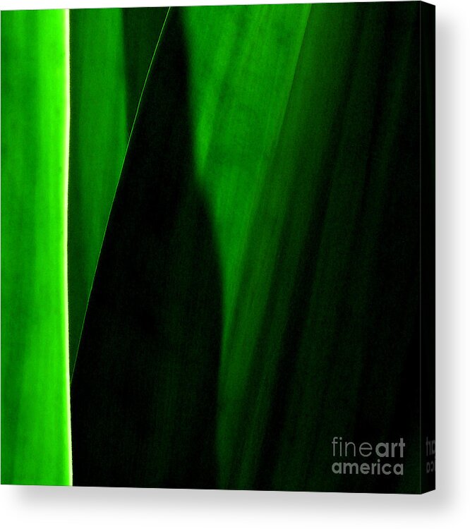 Abstract Acrylic Print featuring the photograph Emerald by James Temple