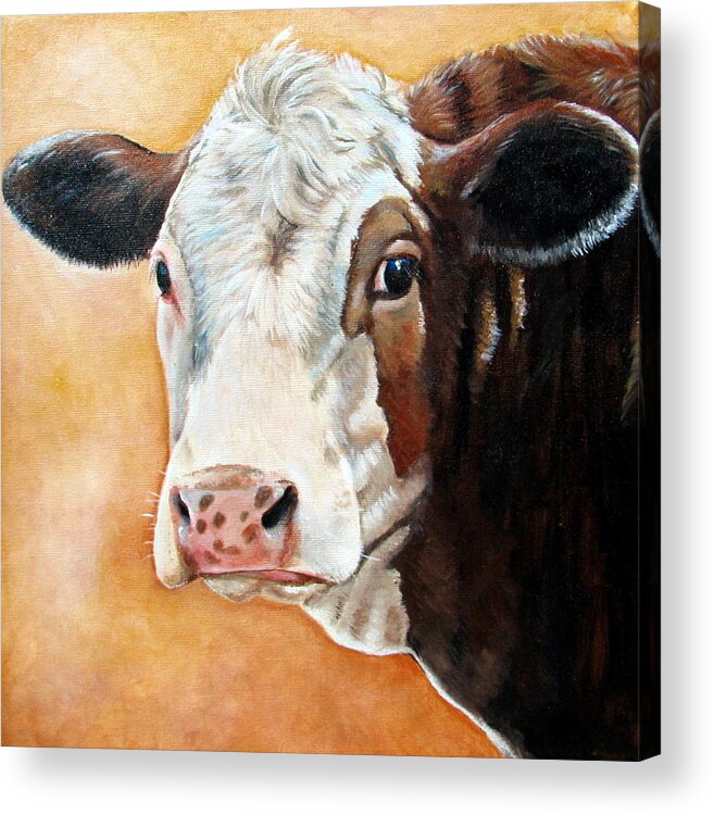Simmental Acrylic Print featuring the painting Emma by Laura Carey